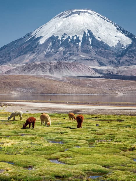 eSIM Chile đi du lịch không giới hạn